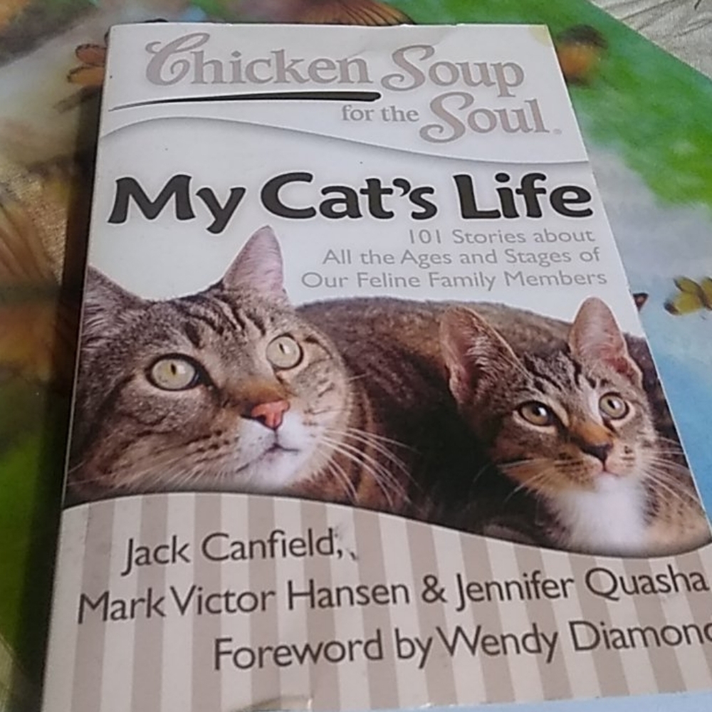 Chicken Soup for the Soul